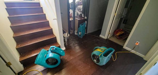 Best Local water damage restoration  in Grand Island, NE