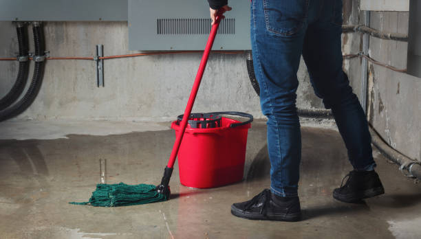Best Basement water damage restoration  in Grand Island, NE