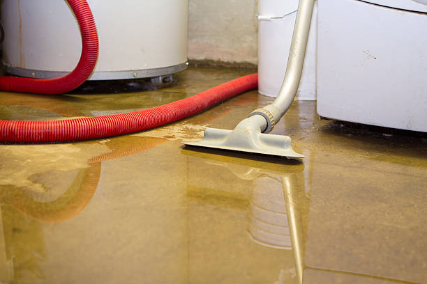  Grand Island, NE Water damage restoration Pros
