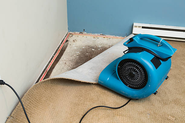 Best 24/7 water damage repair  in Grand Island, NE